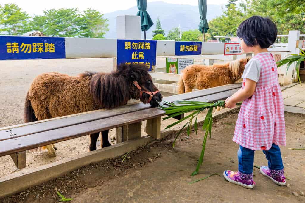 https://tour.taitung.gov.tw/zh-tw/attraction/details/285
鹿野景點